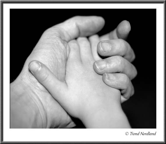DSC_1428bw