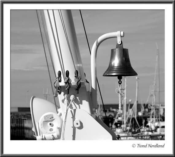 DSC_8085bw